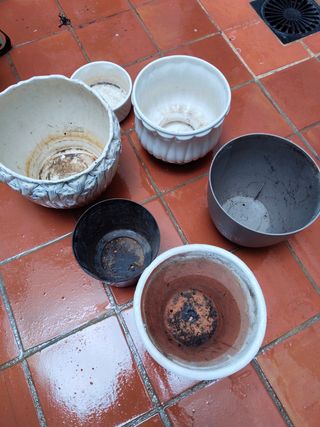 Lote de macetas de terracota y plástico, pregunta