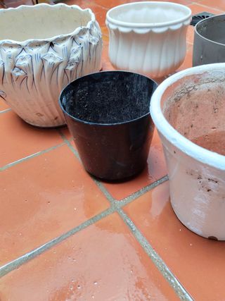 Lote de macetas de terracota y plástico, pregunta
