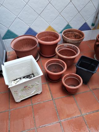 Lote de macetas de terracota y plástico, pregunta