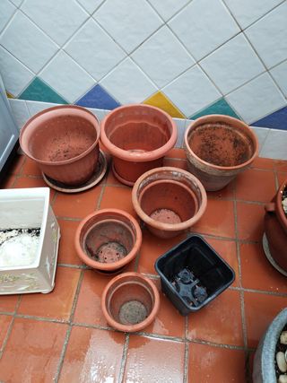 Lote de macetas de terracota y plástico, pregunta