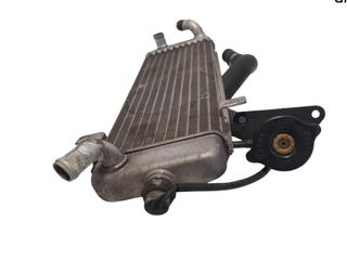 Radiador Agua (Ktm 45377) Suzuki Burgman 125 2003-