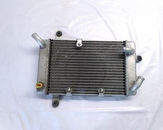 Radiador Agua Suzuki Burgman 400 2001-2003