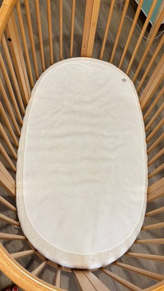 Cuna stokke evolutiva