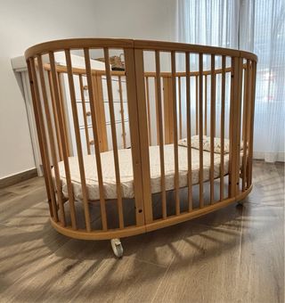 Cuna stokke evolutiva
