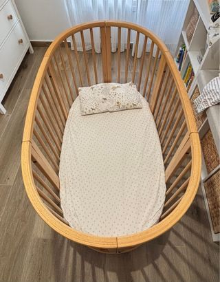 Cuna stokke evolutiva