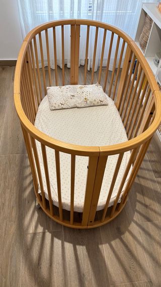Cuna stokke evolutiva