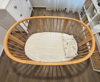Cuna stokke evolutiva