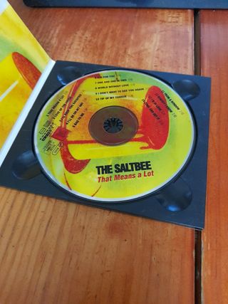 The Saltbee - That Means a Lot