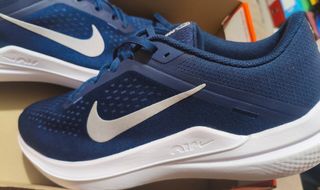 Nike Air Winflo 10
