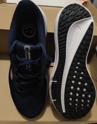 Nike Air Winflo 10