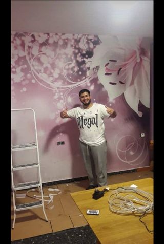 Pintor y reformas economico