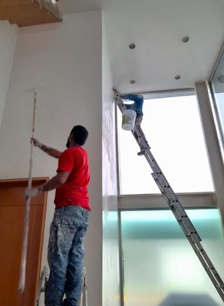 Pintor y reformas economico