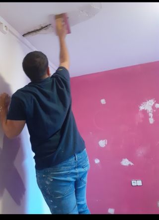 Pintor y reformas economico