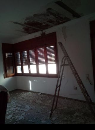 Pintor y reformas economico