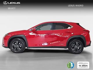 Lexus UX 2.0 250h Business