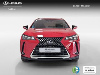 Lexus UX 2.0 250h Business