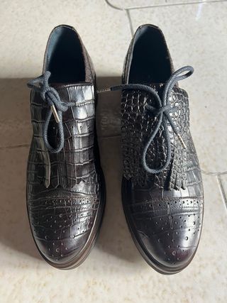 Scarpe Max Mara Derby Marrone Coccodrillo