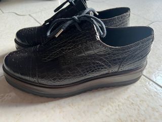 Scarpe Max Mara Derby Marrone Coccodrillo