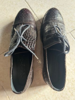 Scarpe Max Mara Derby Marrone Coccodrillo