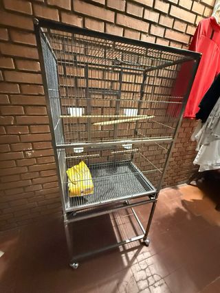 Jaula para loro grande
