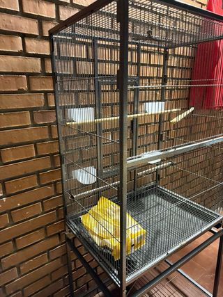 Jaula para loro grande