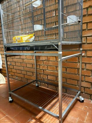 Jaula para loro grande