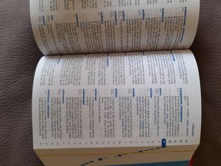 Diccionario de Primaria (Spanish Edition)