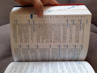 Diccionario de Primaria (Spanish Edition)