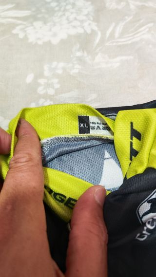 Conjunto ciclismo Mitchelton Scott