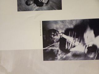 Vinilo Sting The Dream Of The Turtles