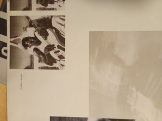 Vinilo Sting The Dream Of The Turtles