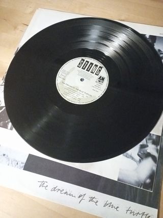 Vinilo Sting The Dream Of The Turtles