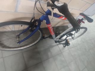 Bicicleta de Montaña-ciudad Di Terzo Thunder negoc