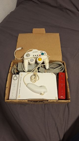 Consola Wii Blanca y Mandos