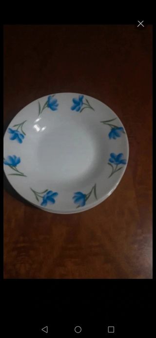 Set 8 Piatti Porcellana Fiori Blu