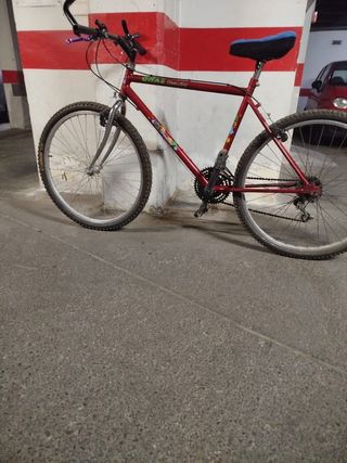 Bicicleta para adulto