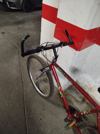Bicicleta para adulto
