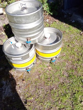 10 Barriles 30L con tapa rosca