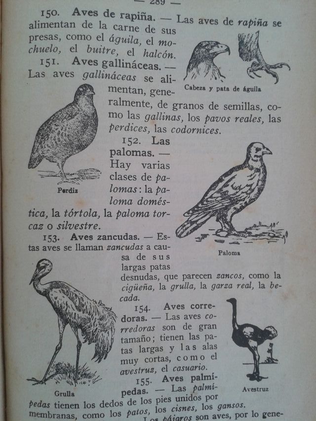 ENCICLOPEDIA GRADO ELEMENTAL 1937 400 GRABADOS