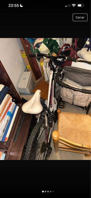 Bicicleta de montaña