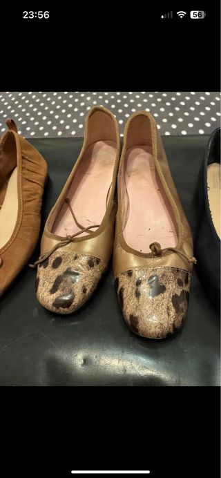 Lote 5 Zapatos Talla 40