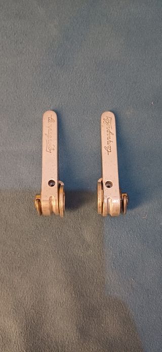 Manetas Campagnolo