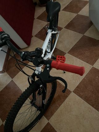 Bicicleta Infantil Talla 24
