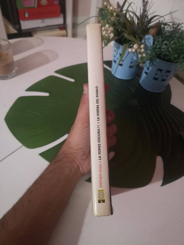La torre oscura La hierba del diablo Stephen King 