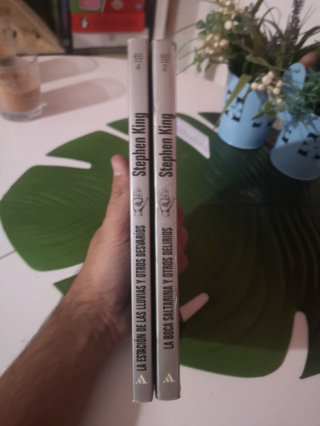 Pesadillas y alucinaciones (2 y 4) Stephen King 