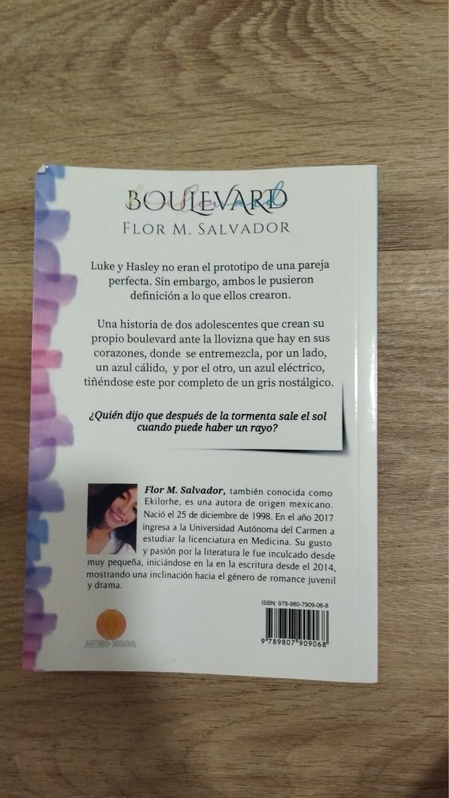 Boulevard (Spanish Edition)