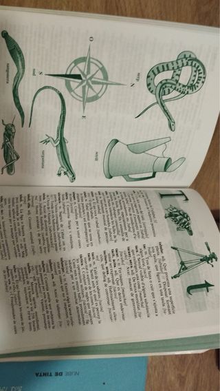 Diccionari escolar senzill valencià-castellà il...