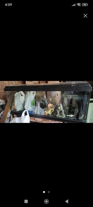 Pecera de cristal y plástico