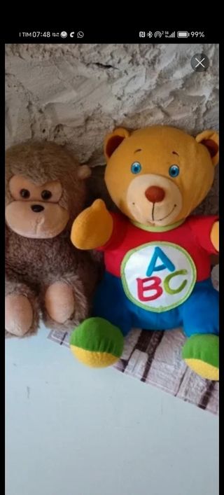 Peluche Orso Parlante e Scimmia