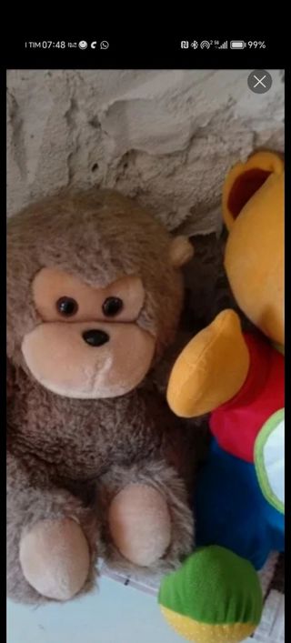 Peluche Orso Parlante e Scimmia